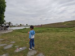 -空港花田景区