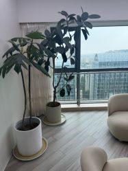 -HEYAN荷妍专业脱毛连锁机构