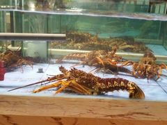 android_upload_pic-旺顺阁海鲜广场(亚运村店)