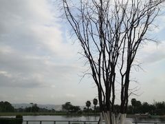 -云里小坐·海泉湾·团建·宴席·下午茶(金堂海泉湾店)