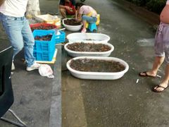 清洗龙虾-虾女王·龙虾·烧烤(龙江店)