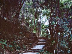 -阳台山森林公园