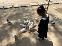 -上美四季动物农场