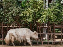 -呀路古热带植物园
