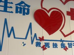 -守诺宠物医院·眼科· 特色牙科·异宠专科(虹口店)