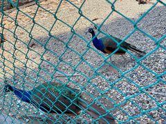 -南京金牛湖风景区