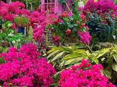 -人民公园(罗湖区)