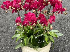 -F.Story 花和故事(新天地店)