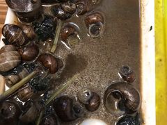 -食爺炭炉鸡煲·烧烤