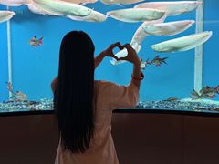 -碧涛阁水世界酒店·洗浴·自助(万家丽路店)