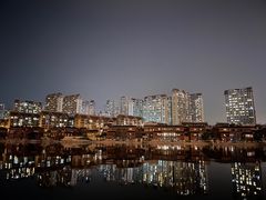-灵玲国际马戏城