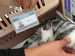 -美联众合动物医院·24h京西诊疗中心