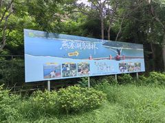 -燕塞湖鸟语林景区