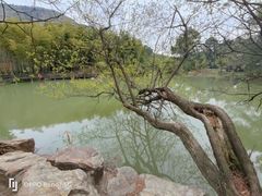 -宝岩生态观光园