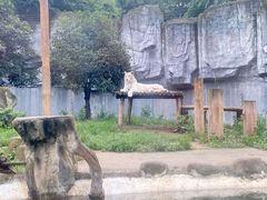 -常州淹城野生动物世界