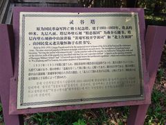 -灵谷景区