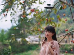 -杨家堂村