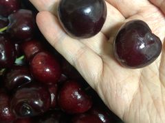 -菜园坝水果市场