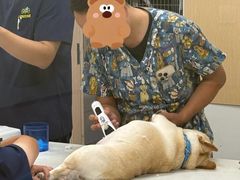-康成宠物医院24H·CT·核磁共振