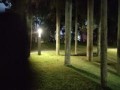-四海公园(南山区)