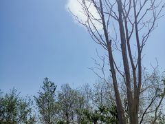 -大运河源头遗址公园