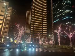 -星·South Beauty·俏江南(国贸店)