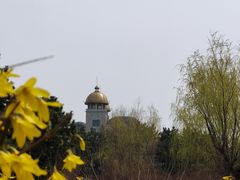 -小石岛景区