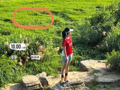 -英派斯健身(海信国际中心馆)