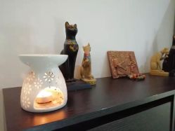 -榕树上·瑜伽普拉提