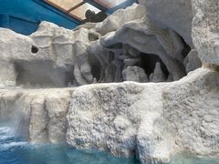 -中铁花水湾四季温泉谷