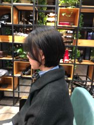 -藤野造型