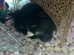 -么么咖啡(燕郊店)