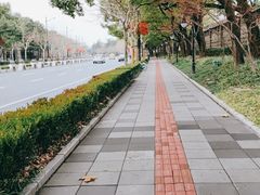 -晶采轩(虹桥路店)