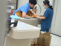 -御宝贝24h宠物医院·转诊中心·CT核磁血透中心(厦门总院)