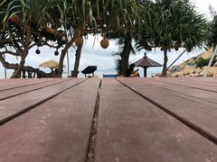 -那琴半岛地质海洋公园