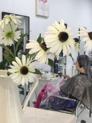 -ASA HAIR SALON