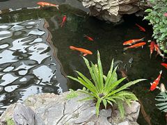 -广州白天鹅宾馆