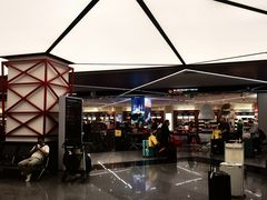 -谢列梅捷沃国际机场