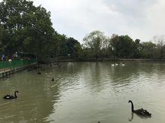 -长兴太湖图影湿地文化园