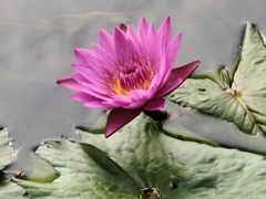 -云溪植物园