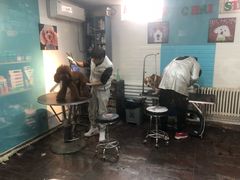 -派多格宠物·购宠(靛厂路店)