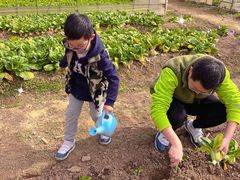 -前小桔亲子创意农场·草莓采摘·露营烧烤