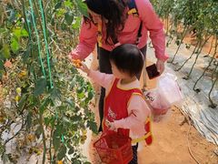 -全优加早教托育园(广百新一城店)