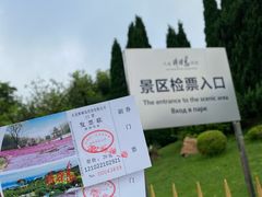 -棒棰岛宾馆景区