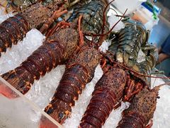 -半岛听涛蒸汽海鲜自助(K11店)