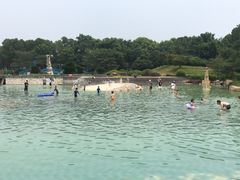-上海月湖雕塑公园