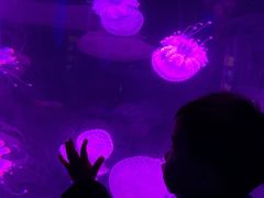 -福州罗源湾海洋世界旅游区