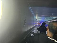 -白鹤梁水下博物馆