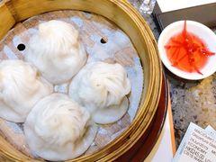 -澳门外港客运码头(轮渡站)