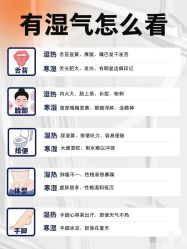 -安吉拉青春化管理中心